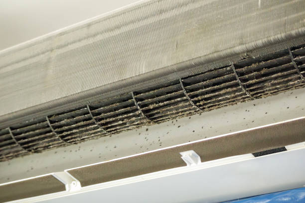 Best Air Quality Test  in Layton, UT